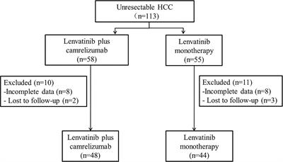 Lenvatinib Plus Camrelizumab vs. Lenvatinib Monotherapy as First-Line Treatment for Unresectable Hepatocellular Carcinoma: A Multicenter Retrospective Cohort Study